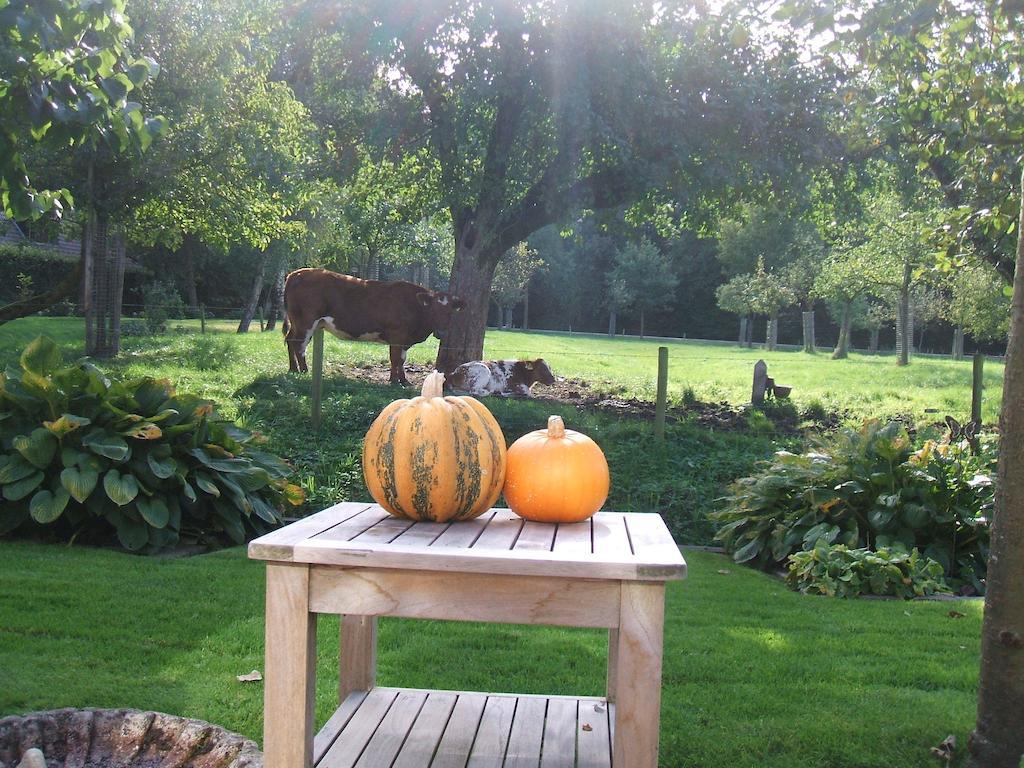 Bed And Breakfast Rodenberg Driebergen Exterior foto